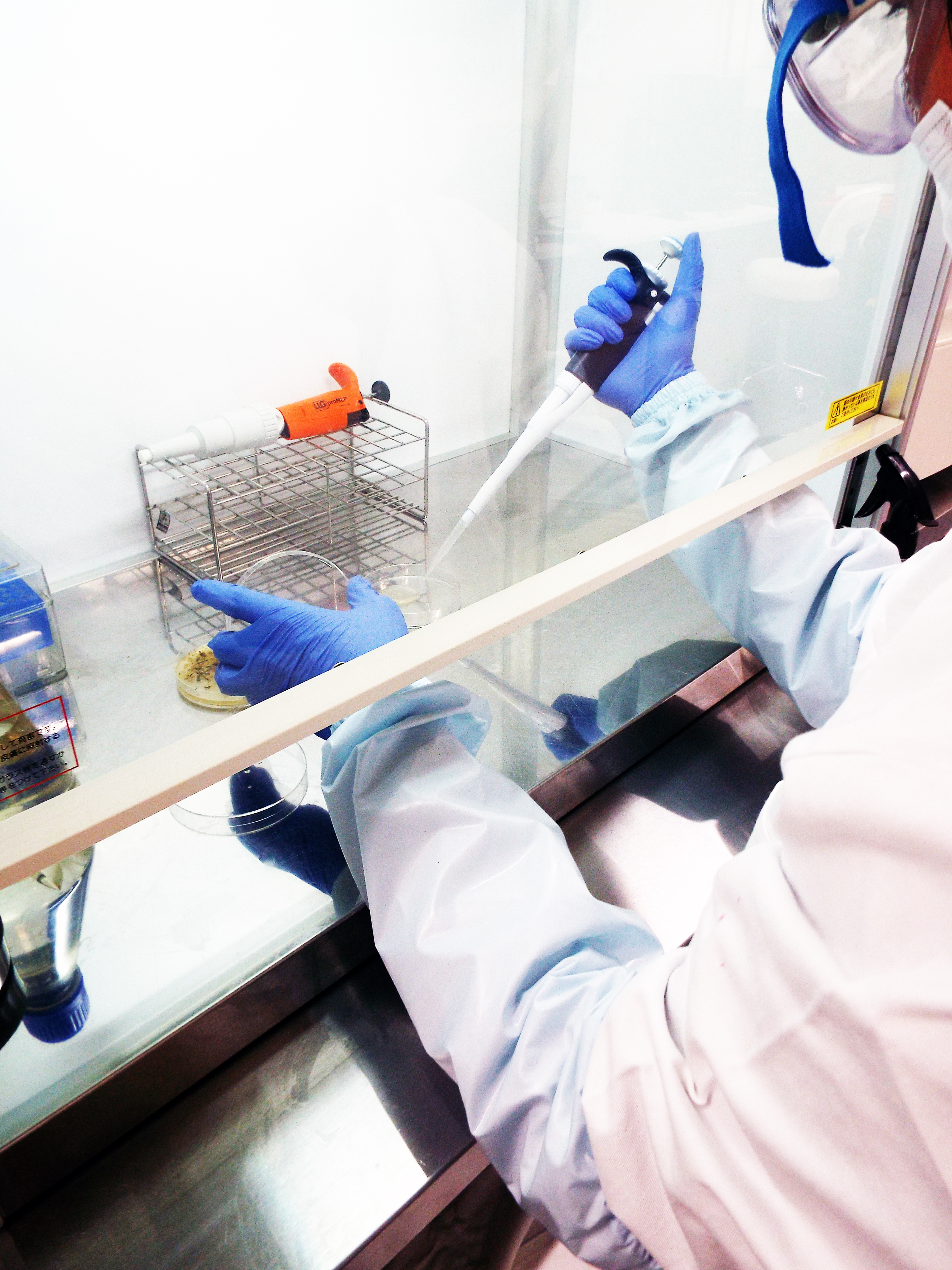 培地・シャーレ・インキュベータなど検査風景